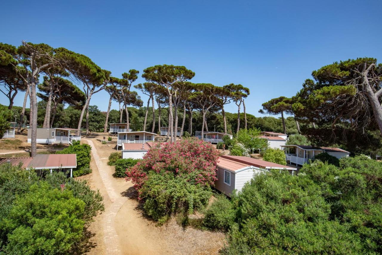 Parco Della Gallinara Lido dei Pini Exterior photo